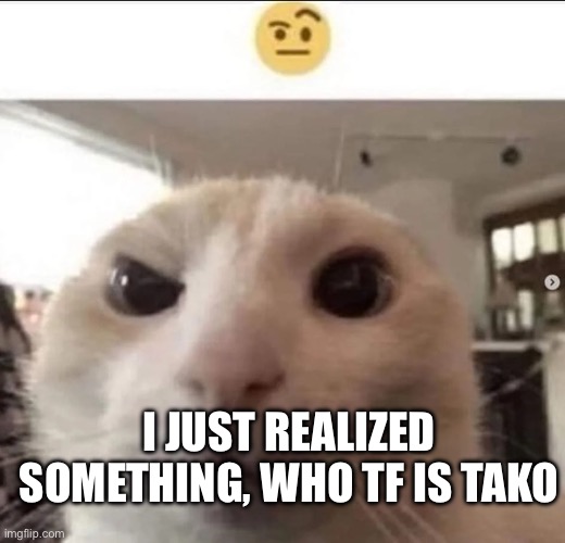 Who are they, they spawned out of nowhere | I JUST REALIZED SOMETHING, WHO TF IS TAKO | image tagged in raised eyebrow cat | made w/ Imgflip meme maker