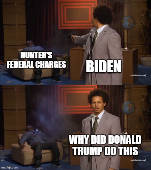 Why would they do this | HUNTER'S FEDERAL CHARGES; BIDEN; WHY DID DONALD TRUMP DO THIS | image tagged in why would they do this | made w/ Imgflip meme maker