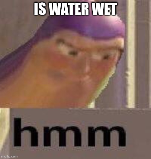 Buzz Lightyear Hmm | IS WATER WET | image tagged in buzz lightyear hmm | made w/ Imgflip meme maker