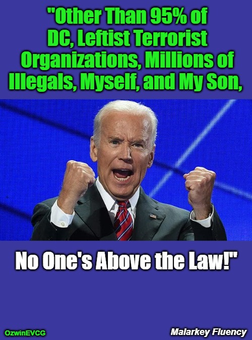 MF JB | "Other Than 95% of 

DC, Leftist Terrorist 

Organizations, Millions of 

Illegals, Myself, and My Son, No One's Above the Law!"; Malarkey Fluency; OzwinEVCG | image tagged in joe biden fists angry,hunter biden,biden crime family,liberal logic,liberal hypocrisy,government corruption | made w/ Imgflip meme maker