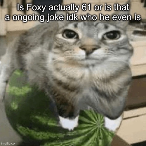 Cat on melon | Is Foxy actually 61 or is that a ongoing joke idk who he even is | image tagged in cat on melon | made w/ Imgflip meme maker