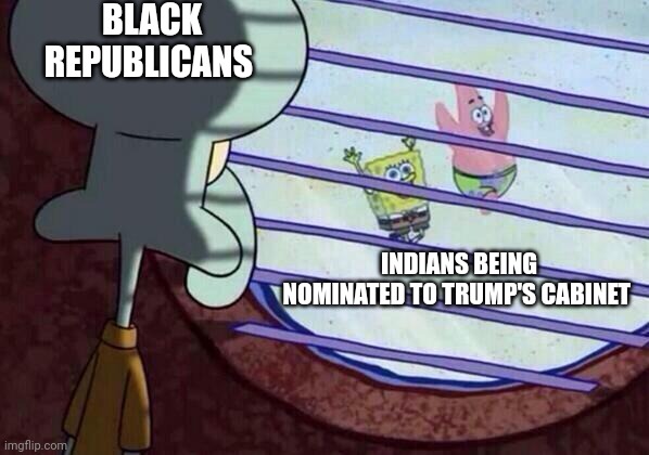 Trump cabinet picks | BLACK REPUBLICANS; INDIANS BEING NOMINATED TO TRUMP'S CABINET | image tagged in squidward window | made w/ Imgflip meme maker