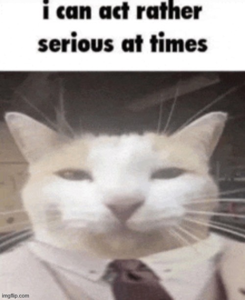 I am quite serious at times | image tagged in memes | made w/ Imgflip meme maker