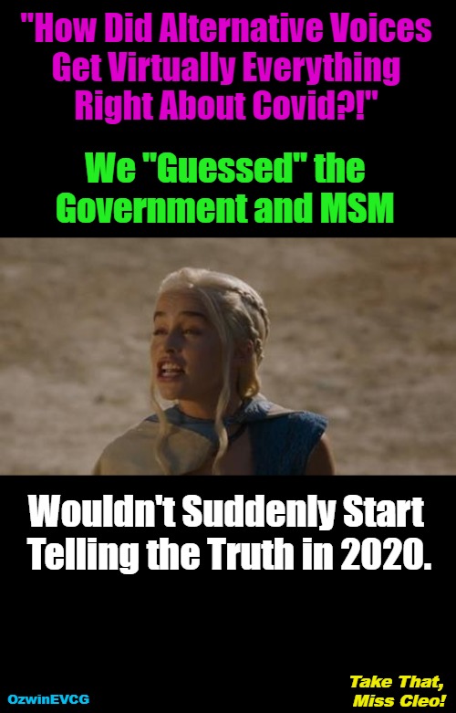 Take That, Miss Cleo! | "How Did Alternative Voices 

Get Virtually Everything 

Right About Covid?!"; We "Guessed" the 

Government and MSM; Wouldn't Suddenly Start 

Telling the Truth in 2020. Take That, 

Miss Cleo! OzwinEVCG | image tagged in miss cleo,prediction,government corruption,msm lies,covid-19,brave coof world | made w/ Imgflip meme maker