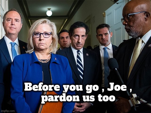 J6 Committee | Before you go , Joe ,
pardon us too | image tagged in j6 committee | made w/ Imgflip meme maker