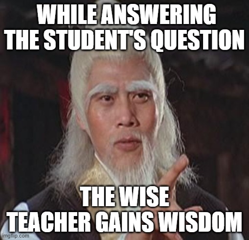 Wisdom | WHILE ANSWERING THE STUDENT'S QUESTION; THE WISE TEACHER GAINS WISDOM | image tagged in wise kung fu master | made w/ Imgflip meme maker