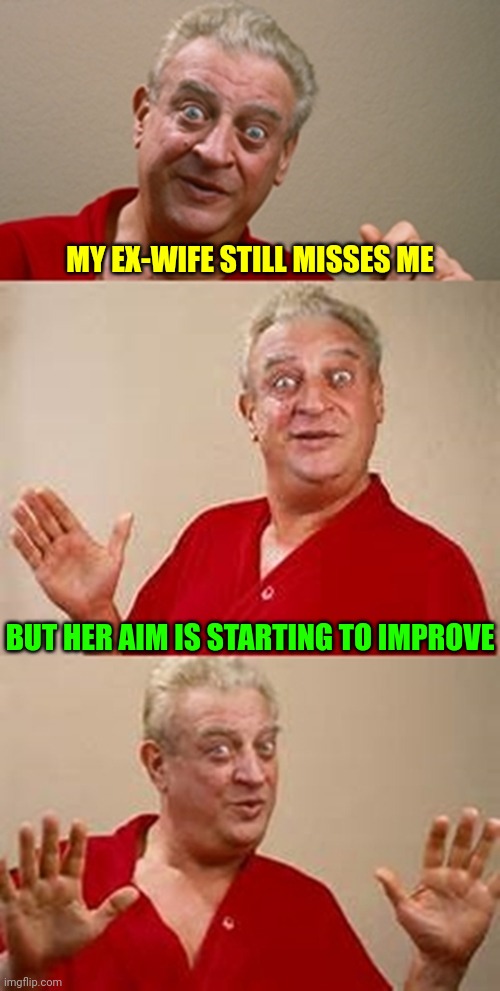 When Love Turns Into "Target Practice" | MY EX-WIFE STILL MISSES ME; BUT HER AIM IS STARTING TO IMPROVE | image tagged in bad pun dangerfield,memes,husband wife,ex wife,target practice | made w/ Imgflip meme maker