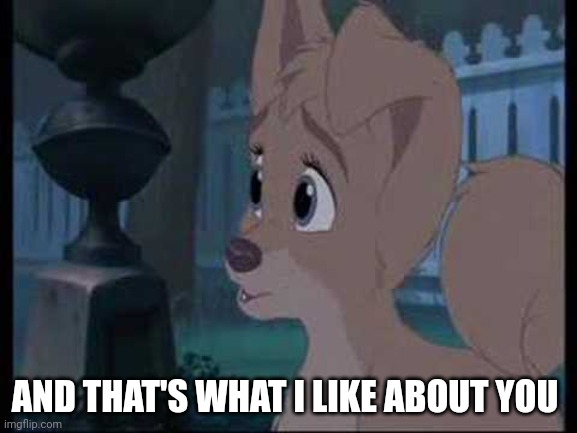 And That's What I Like About You | AND THAT'S WHAT I LIKE ABOUT YOU | image tagged in lady and the tramp 2 angel,alyssa milano,disney dogs,disney,dogs | made w/ Imgflip meme maker