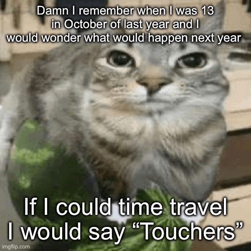 Cat on melon | Damn I remember when I was 13 in October of last year and I would wonder what would happen next year; If I could time travel I would say “Touchers” | image tagged in cat on melon | made w/ Imgflip meme maker