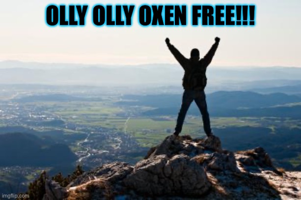 Shout It from the Mountain Tops | OLLY OLLY OXEN FREE!!! | image tagged in shout it from the mountain tops | made w/ Imgflip meme maker