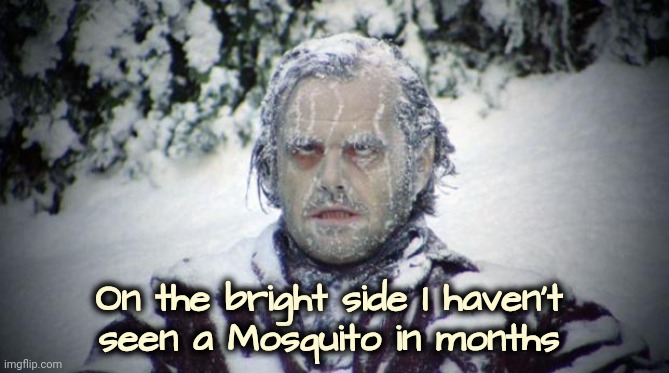 The Benefits of Winter | On the bright side I haven't
seen a Mosquito in months | image tagged in blizzard,insects,not anymore,freezing cold,i've won but at what cost | made w/ Imgflip meme maker