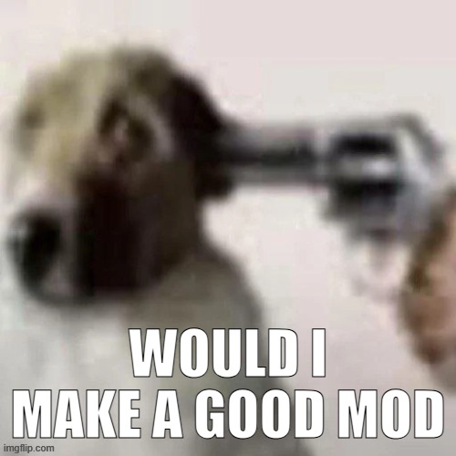 dog gunpoint | WOULD I MAKE A GOOD MOD | image tagged in dog gunpoint | made w/ Imgflip meme maker