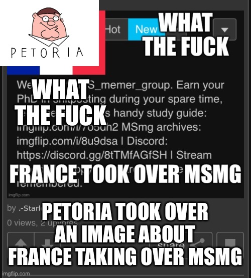 WHAT THE FUCK; PETORIA TOOK OVER AN IMAGE ABOUT FRANCE TAKING OVER MSMG | made w/ Imgflip meme maker