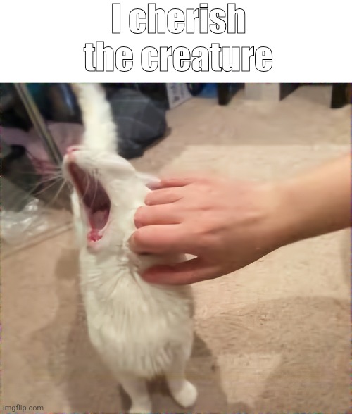 I cherish the creature | made w/ Imgflip meme maker