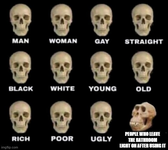 Skulls ape stupid human homo erectus neanderthal | PEOPLE WHO LEAVE THE BATHROOM LIGHT ON AFTER USING IT | image tagged in skulls ape stupid human homo erectus neanderthal | made w/ Imgflip meme maker