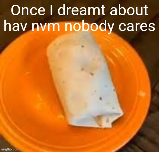 JimmyHere Burrito | Once I dreamt about hav nvm nobody cares | image tagged in jimmyhere burrito | made w/ Imgflip meme maker