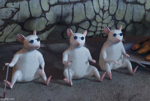 Three blind mice | image tagged in three blind mice | made w/ Imgflip meme maker