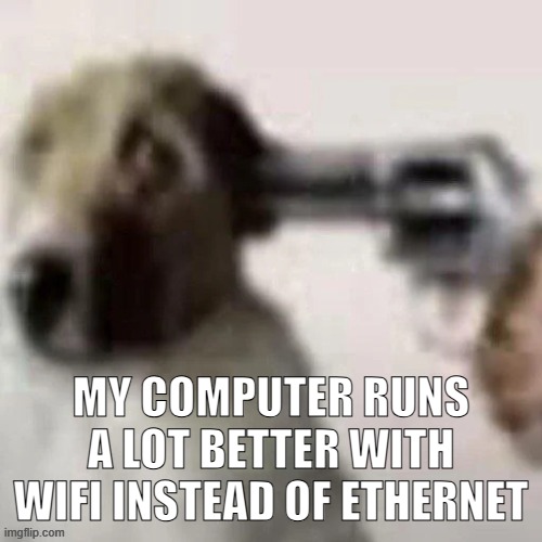 dog gunpoint | MY COMPUTER RUNS A LOT BETTER WITH WIFI INSTEAD OF ETHERNET | image tagged in dog gunpoint | made w/ Imgflip meme maker
