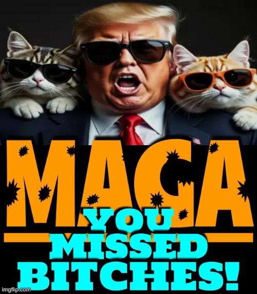 And the winner is.... | image tagged in donald trump,republicans,democrats,government corruption,politics,political | made w/ Imgflip meme maker