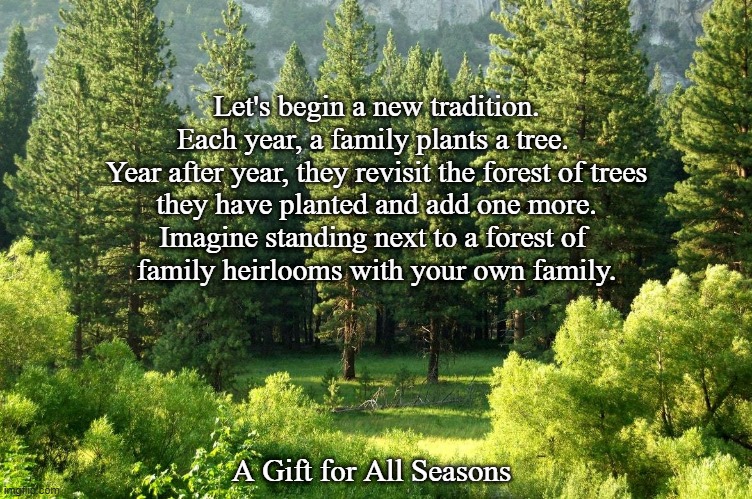 A Gift for All Seasons | Let's begin a new tradition.
Each year, a family plants a tree. 
Year after year, they revisit the forest of trees
they have planted and add one more.
Imagine standing next to a forest of 
family heirlooms with your own family. A Gift for All Seasons | image tagged in tradition,tree,forest,family,heirlooms,gift | made w/ Imgflip meme maker