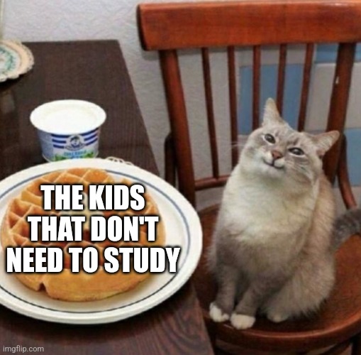 Cat likes their waffle | THE KIDS THAT DON'T NEED TO STUDY | image tagged in cat likes their waffle | made w/ Imgflip meme maker