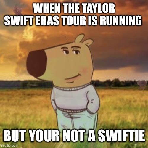 Anti Swifties when eras tour | WHEN THE TAYLOR SWIFT ERAS TOUR IS RUNNING; BUT YOUR NOT A SWIFTIE | image tagged in chill guy | made w/ Imgflip meme maker