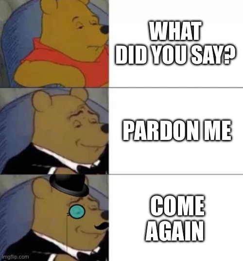 Fancy pooh | WHAT DID YOU SAY? PARDON ME; COME AGAIN | image tagged in fancy pooh | made w/ Imgflip meme maker