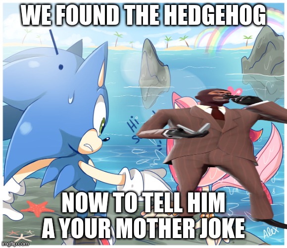 Off to france to visit your mother! | WE FOUND THE HEDGEHOG; NOW TO TELL HIM A YOUR MOTHER JOKE | image tagged in hi sonic | made w/ Imgflip meme maker