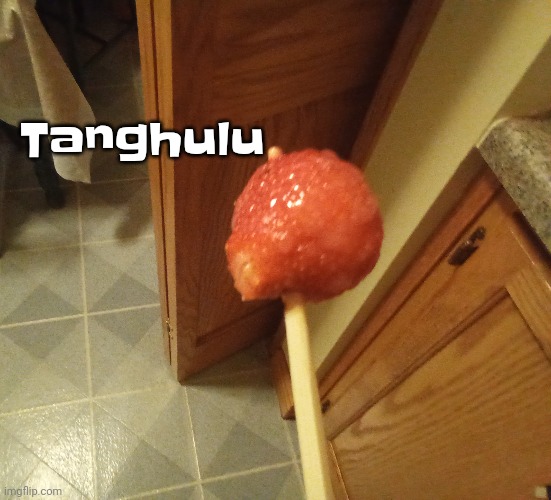 I essentially just burnt the sugar on top with a blowtorch | Tanghulu | made w/ Imgflip meme maker