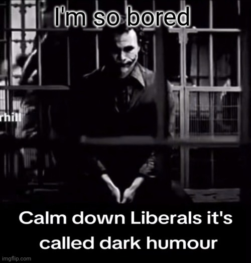 Calm down Liberals | I'm so bored | image tagged in calm down liberals | made w/ Imgflip meme maker