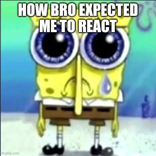 Sad Spongebob | HOW BRO EXPECTED ME TO REACT | image tagged in sad spongebob | made w/ Imgflip meme maker