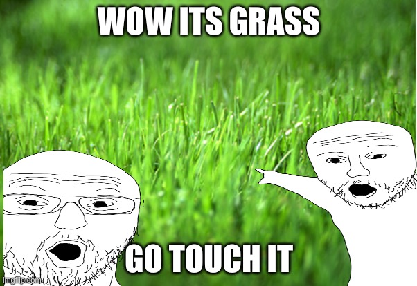 grass | WOW ITS GRASS; GO TOUCH IT | image tagged in grass is greener,touch grass | made w/ Imgflip meme maker