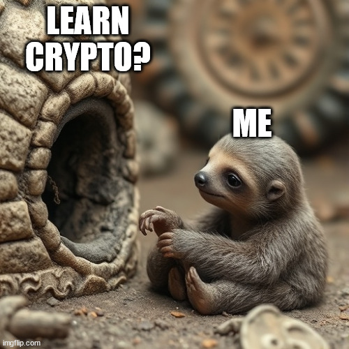 sloth in a hole | LEARN CRYPTO? ME | image tagged in sloth in a hole | made w/ Imgflip meme maker