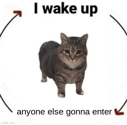 i wake up cat | anyone else gonna enter | image tagged in i wake up cat | made w/ Imgflip meme maker