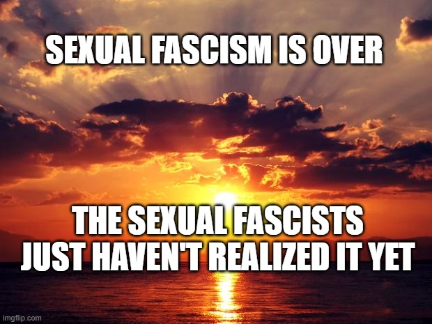 Sunset | SEXUAL FASCISM IS OVER; THE SEXUAL FASCISTS JUST HAVEN'T REALIZED IT YET | image tagged in sunset | made w/ Imgflip meme maker