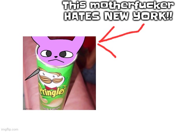 This motherfu‍cker HATES NEW YORK!! | made w/ Imgflip meme maker