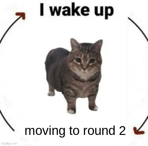 i wake up cat | moving to round 2 | image tagged in i wake up cat | made w/ Imgflip meme maker