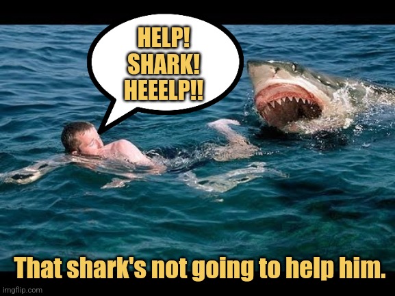 Shark Attack | HELP! SHARK! HEEELP!! That shark's not going to help him. | image tagged in shark,memes,funny memes,picture punches,shark week | made w/ Imgflip meme maker