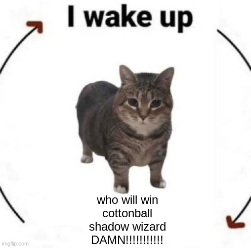 i wake up cat | who will win
cottonball
shadow wizard
DAMN!!!!!!!!!!! | image tagged in i wake up cat | made w/ Imgflip meme maker