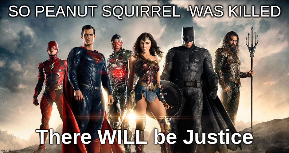 NY State has a PROBLEM | SO PEANUT SQUIRREL  WAS KILLED; There WILL be Justice | image tagged in justice league mad | made w/ Imgflip meme maker