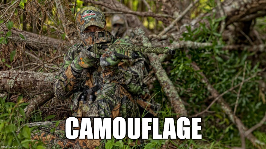 CAMOUFLAGE | image tagged in camo hunter | made w/ Imgflip meme maker