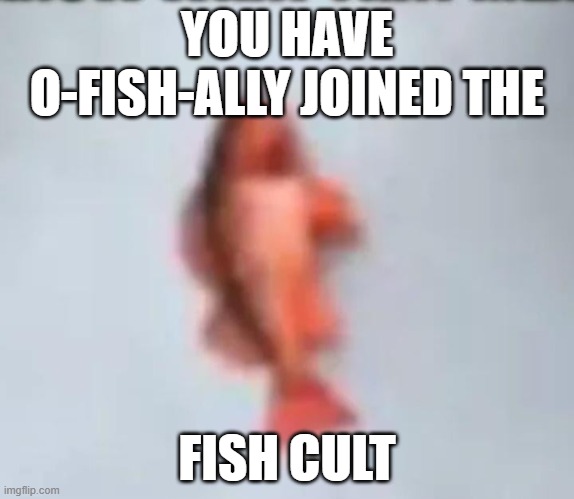 FISH!!! | YOU HAVE O-FISH-ALLY JOINED THE; FISH CULT | image tagged in fish | made w/ Imgflip meme maker