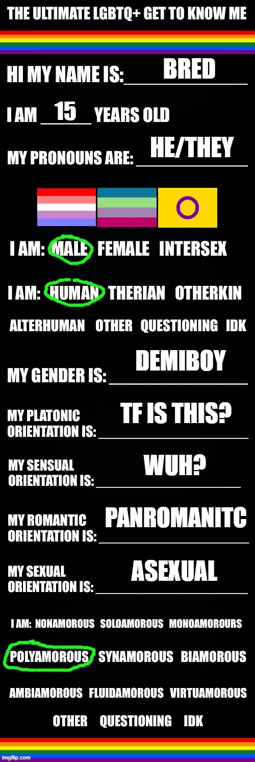 Help some of those are confusing | BRED; 15; HE/THEY; DEMIBOY; TF IS THIS? WUH? PANROMANITC; ASEXUAL | image tagged in the ultimate lgbtq get to know me | made w/ Imgflip meme maker