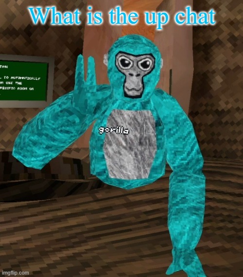 Monkey | What is the up chat | image tagged in monkey | made w/ Imgflip meme maker