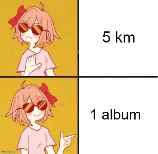 running | 5 km; 1 album | image tagged in no yes girl | made w/ Imgflip meme maker