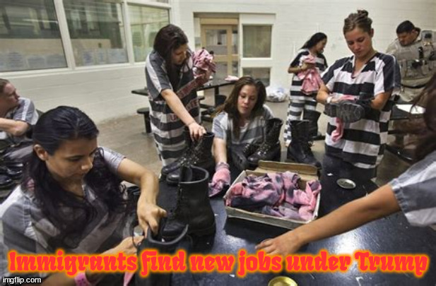 Immigrants find new jobs | Immigrants find new jobs under Trump | image tagged in immigrants find new jobs,maga slaves,prison labor,fascist whitetrashinalists,criminal king | made w/ Imgflip meme maker