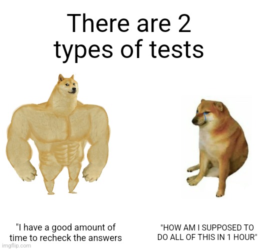 2 types | There are 2 types of tests; "I have a good amount of time to recheck the answers; "HOW AM I SUPPOSED TO DO ALL OF THIS IN 1 HOUR" | image tagged in memes,buff doge vs cheems,school,relatable,funny | made w/ Imgflip meme maker