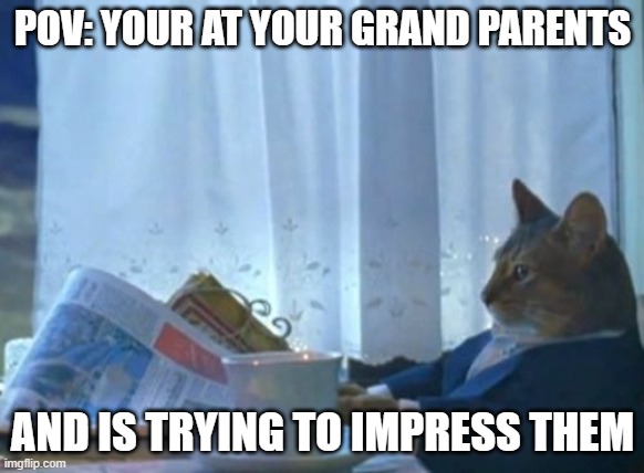 I Should Buy A Boat Cat | POV: YOUR AT YOUR GRAND PARENTS; AND IS TRYING TO IMPRESS THEM | image tagged in memes,i should buy a boat cat | made w/ Imgflip meme maker