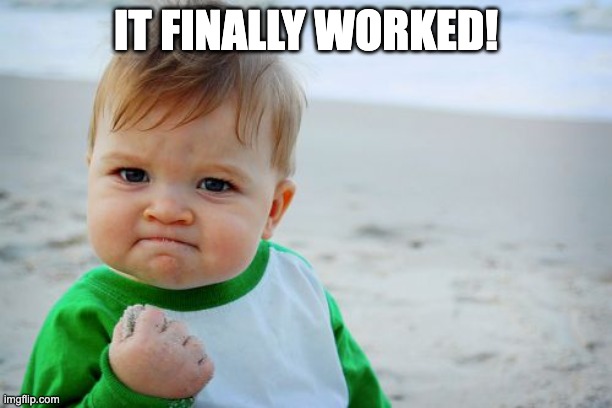The Python Programmer’s Joy | IT FINALLY WORKED! | image tagged in memes,success kid original | made w/ Imgflip meme maker