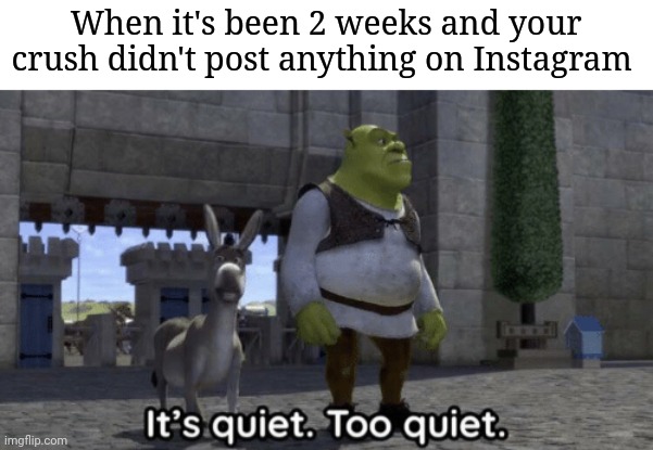 It’s quiet too quiet Shrek | When it's been 2 weeks and your crush didn't post anything on Instagram | image tagged in it s quiet too quiet shrek | made w/ Imgflip meme maker